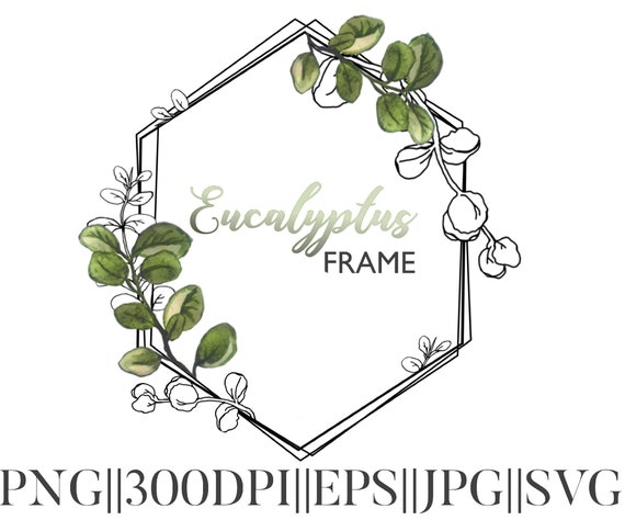 Download Watercolor Eucalyptus Frame Svg Floral Watercolor Frame Png Etsy