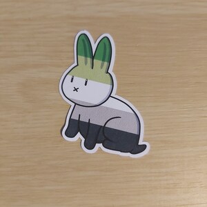 Aromantic Pride Bunny | Autocollant en papier