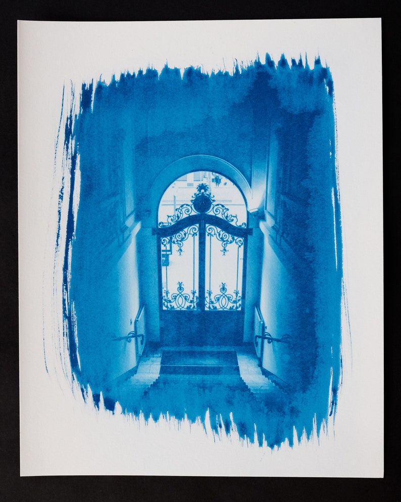 Cyanotype Paper Print Picture cyanotype trigger No 20.3 x 25.4 cm .. Entrance Cyanotype Print #1 1 .. Entrance hall