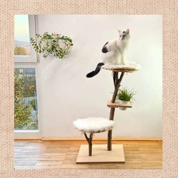 Scratching Post Maple Cat Wood Natural Tree Trunk Cat Tree Wood Natural Tree Trunk