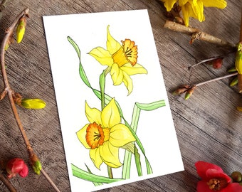 Daffodils Card