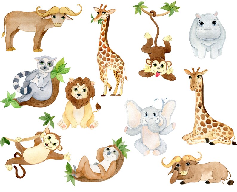 Watercolor African Animals Safari Animals Clipart Sloth Png Elephant Cartoon Animals Zoo Baby Animals Monkey Jungle Digital Lion Clip Art Art Collectibles Ladanitrade Com Watercolor African Animals Safari Animals Clipart Sloth Png Elephant Cartoon Animals Zoo Baby Animals Monkey Jungle Digital Lion Clip Art Art Collectibles Ladanitrade Com
