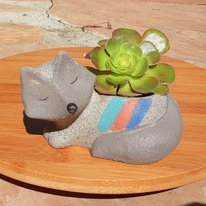 May include: A gray ceramic planter shaped like a sleeping fox with a succulent plant growing inside. The planter has a colorful stripe design on the back.