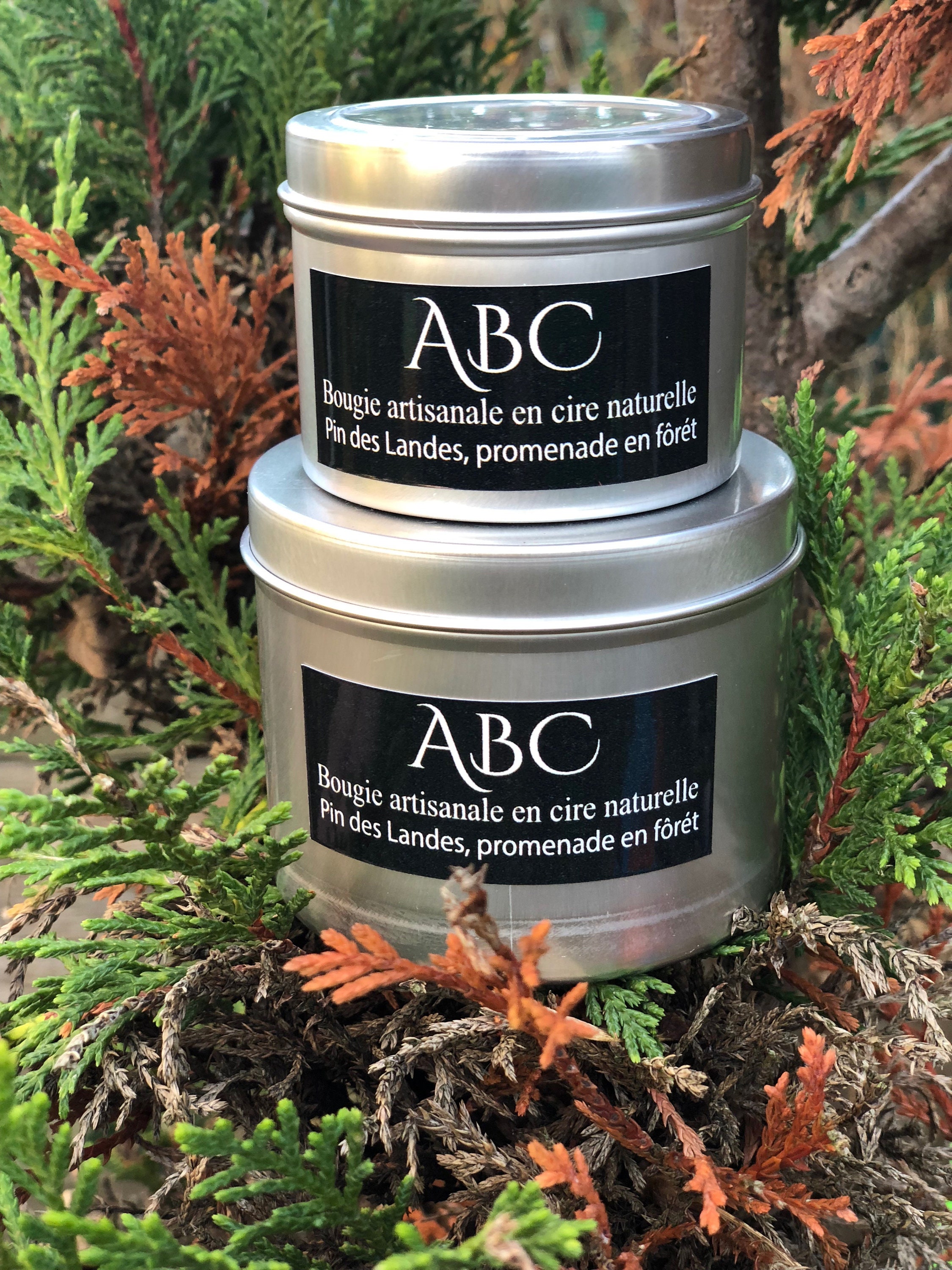 Bougie Parfumée Pin Des Landes Fait Main en Cire de Soja et Parfum Grasse