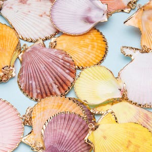 May include: An assortment of seashells in various colors, including white, yellow, orange, and purple, with gold-colored trim. The shells are arranged on a light blue background, creating a beachy aesthetic.