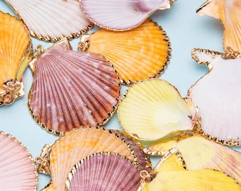 Bunter Anhänger Muschel Anhänger: Natürlicher Strand Schmuck, DIY Zubehör