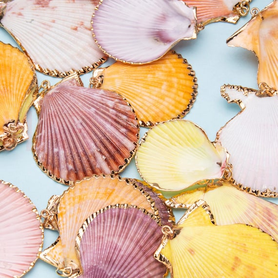 Colorful Seashell Charm Pendant: Natural Beach Jewelry, DIY Supplies