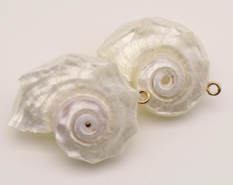 May include: Two pearlescent white seashell pendants with gold-colored loops. The shells have a spiral design and a natural, organic texture. These pendants are ideal for jewelry making or crafting projects.