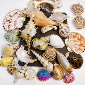 Peut inclure: Une collection de divers coquillages avec des bordures dorées. Les coquillages sont dans des tons de blanc, beige, marron, rose, vert et bleu. Certains coquillages ont un éclat nacré. L'image est prise d'en haut.