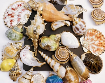 May include: A collection of various seashells with gold-colored trim. The shells are in shades of white, tan, brown, pink, green, and blue. Some shells have a pearlescent sheen. The image is taken from a top-down perspective.
