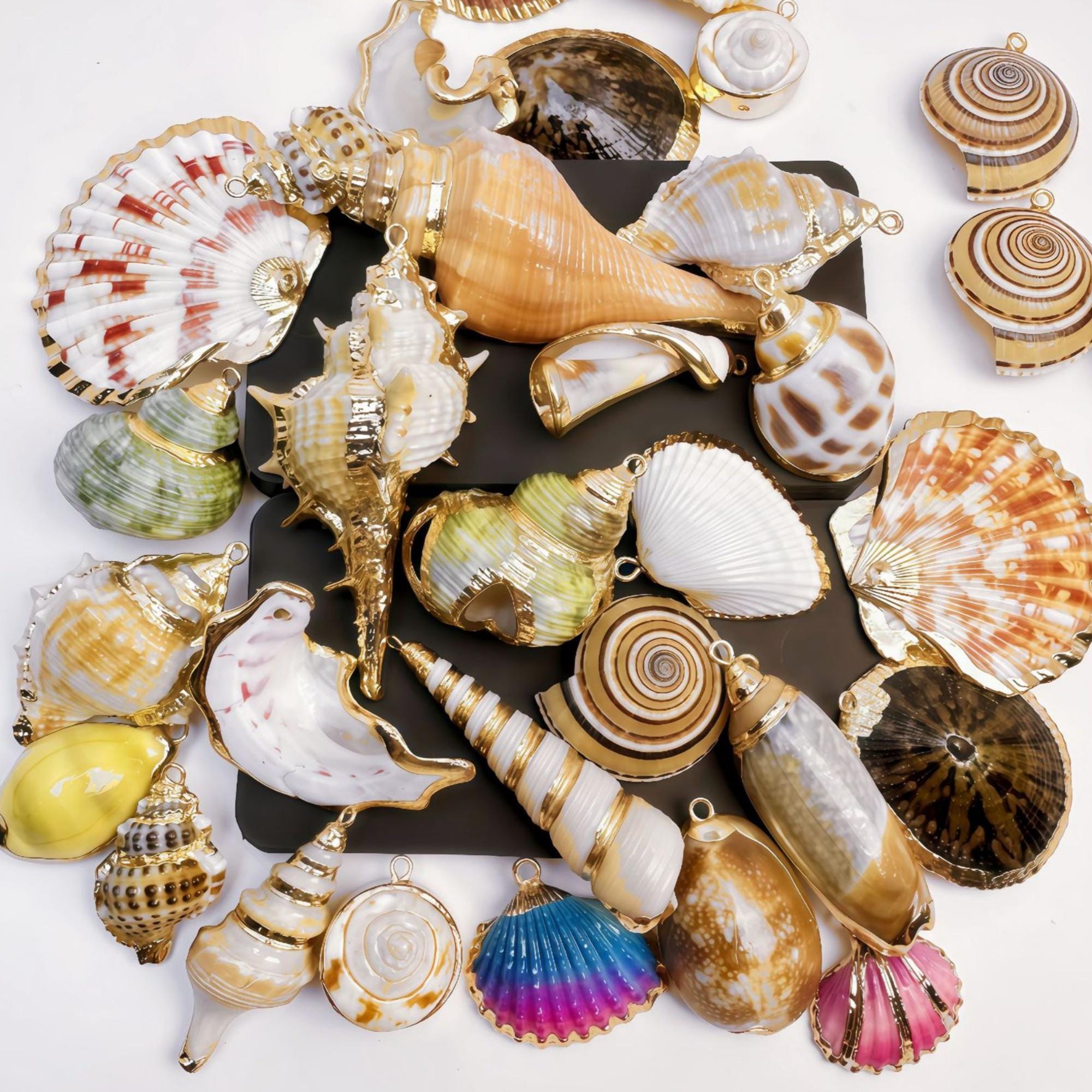 置物 pipi Pipi Shell - Etsy Canada