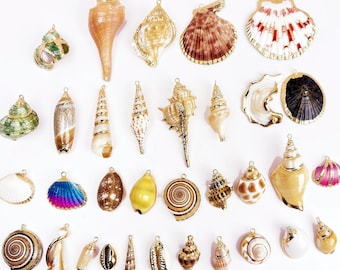 May include: A collection of various seashells with gold-colored metal loops for jewelry making. The shells are in shades of white, brown, yellow, pink, and blue. Some shells have gold trim.