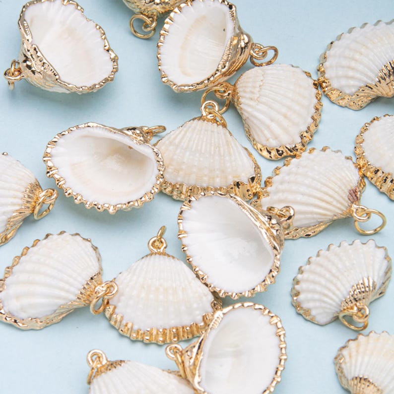 Natural Seashell Charm Pendant,orange Shell Charm for Necklaces ...