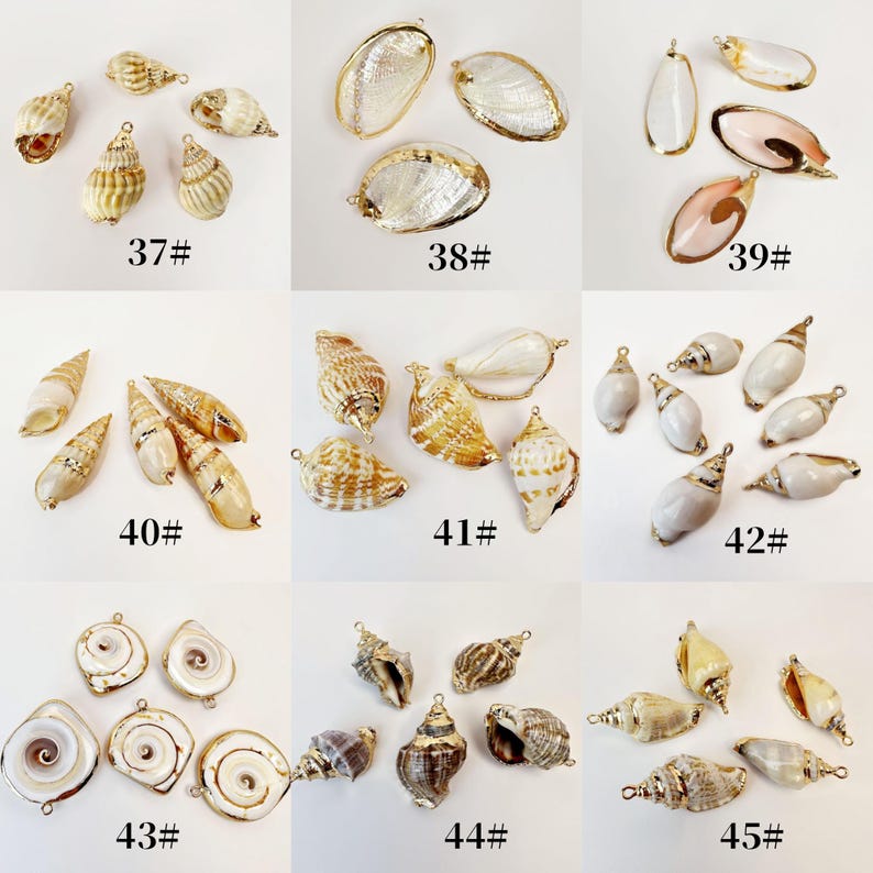 Natural Seashell Conch Charm Pendant: Beach Jewelry, DIY Supplies (2pcs ...