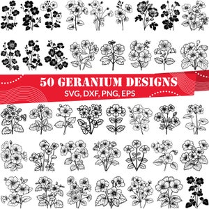 Geranium SVG Bundle, Geranium dxf, Geranium png, Geranium vector, Geranium outline, Geranium clipart, Geranium Flower svg, Floral design