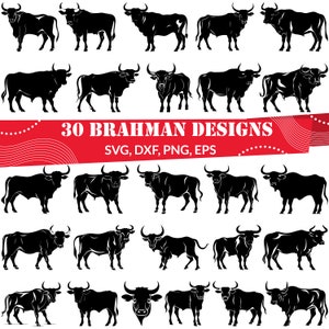 Puede incluir: Un conjunto de 30 diseños de toros Brahman negros en varias poses. Los diseños están disponibles en formatos SVG, DXF, PNG y EPS. La imagen presenta una pancarta roja con el texto blanco "30 Brahman Designs".