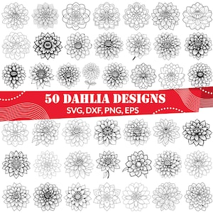 May include: A set of 50 black and white dahlia flower illustrations. The illustrations are in a variety of styles and sizes. The text "50 Dahlia Designs" is written in a banner at the top of the image. The text "SVG, DXF, PNG, EPS" is written below the banner.