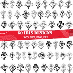 Iris SVG Bundle, Iris Linie Kunst, Iris Blume svg, Iris dxf, Iris png, Iris eps, Iris Vektor, Iris Schnittdateien, Iris Umriss, Iris Schnittdatei