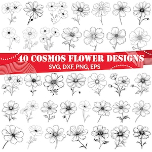 Könnte beinhalten: Eine Sammlung von 40 schwarz-weißen Strichzeichnungen von Kosmosblumen, die in einem Raster angeordnet sind. Ein rotes horizontales Banner in der Mitte zeigt den weißen Text 40 COSMOS FLOWER DESIGNS SVG, DXF, PNG, EPS mit dekorativen weißen Punkten.