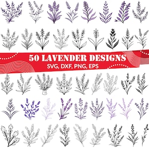 Lavender SVG Bundle, Lavender dxf, Lavender png, Lavender vector, Lavender outline, Lavender clipart, Wildflower svg, Herb svg