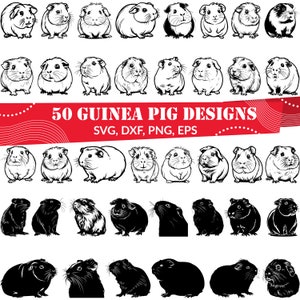 May include: A set of 50 black and white vector illustrations of guinea pigs in various poses. The illustrations are perfect for crafting, scrapbooking, and other creative projects. The text "50 GUINEA PIG DESIGNS" is displayed in red at the top of the image. The text "SVG, DXF, PNG, EPS" is displayed below the title.