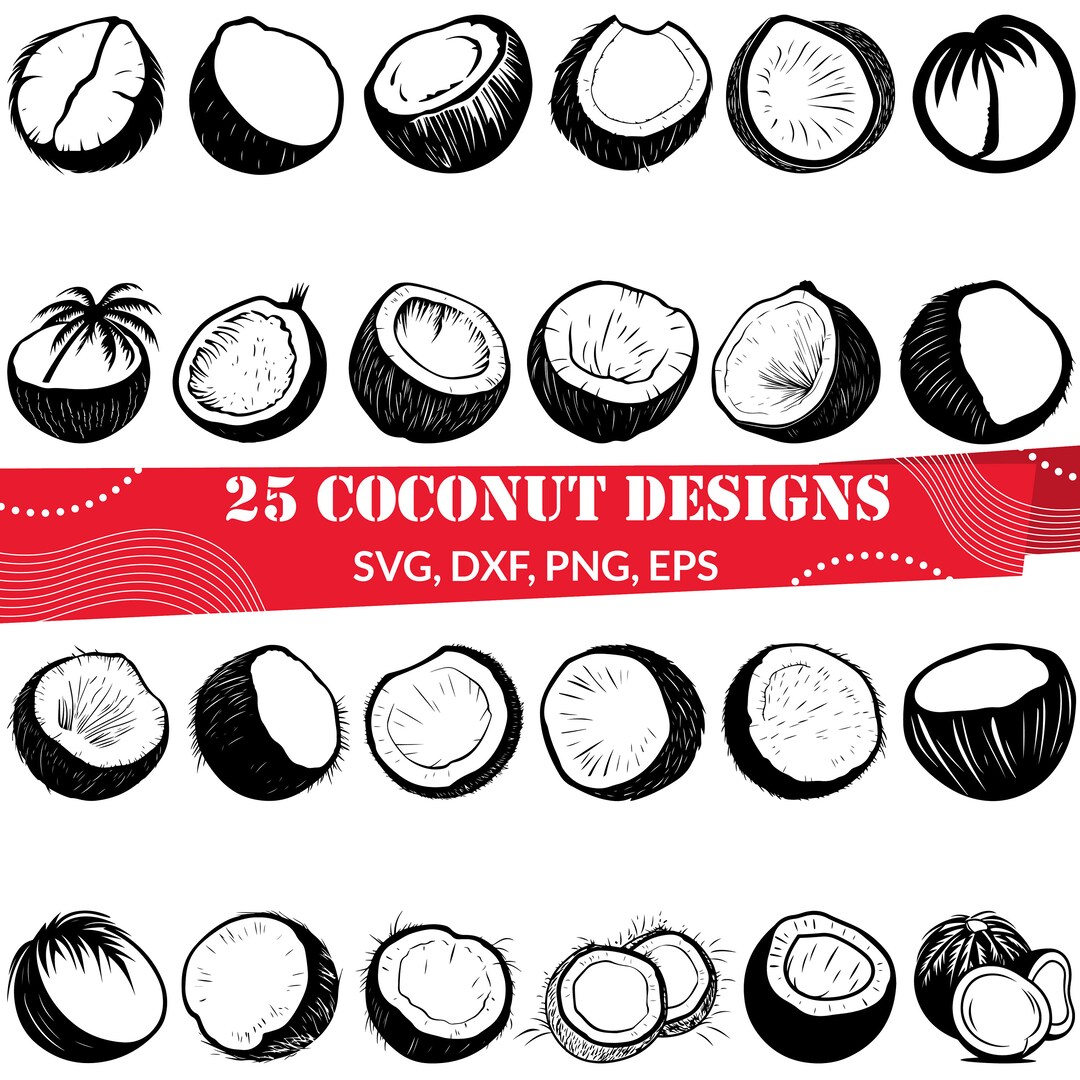 25 Coconut SVG Bundle, Tropical Fruit Clipart, Hand Drawn Coconut PNG ...