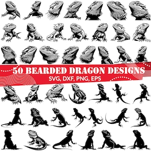 Bearded Dragon SVG Bundle, Bearded Dragon dxf, Bearded Dragon png, Bearded Dragon vector, Bearded Dragon clipart, Reptile svg, Lizard svg