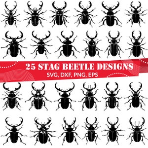 May include: Twenty-five black stag beetle designs in different poses. The text "25 STAG BEETLE DESIGNS" is displayed in white on a red banner, with file format options below.