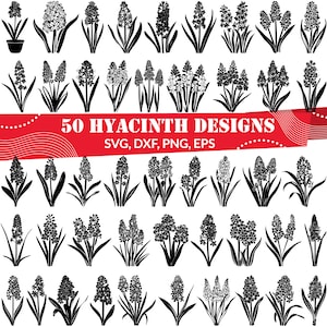 Hyacinth SVG Bundle, Hyacinth dxf, Hyacinth png, Hyacinth vector, Hyacinth outline, Hyacinth clipart, Hyacinth Flower, Wedding Flower