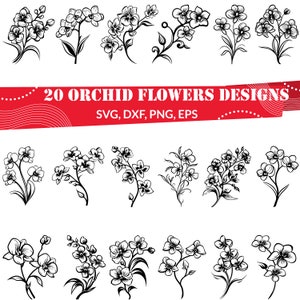 Orchid Flowers SVG Bundle, Floral Design, Orchid svg, Orchid png, Orchid Clipart, Botanical art, Tropical flowers, Orchid illustration