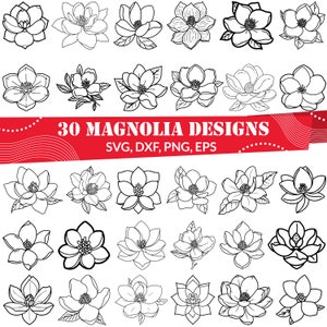 May include: A set of 30 black and white magnolia flower illustrations. The illustrations are in various styles and sizes. The text "30 Magnolia Designs" is at the top of the image. The text "SVG, DXF, PNG, EPS" is below the title.