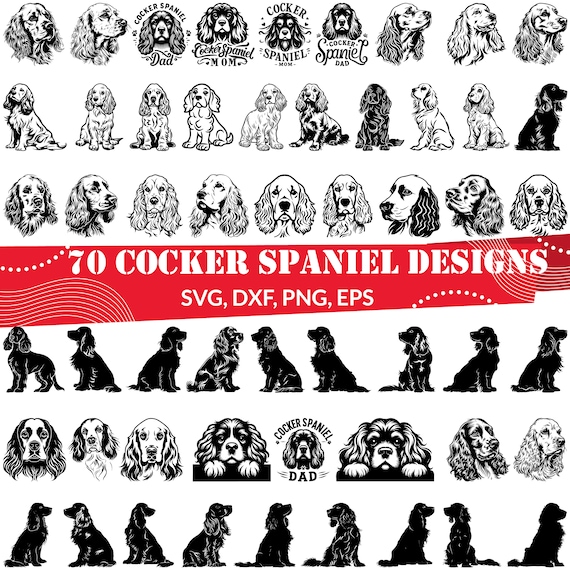 Cocker Spaniel SVG Bundle, Cocker Spaniel dxf, Cocker Spaniel  png, Cocker Spaniel vector, Cocker Spaniel outline, Spaniel clipart