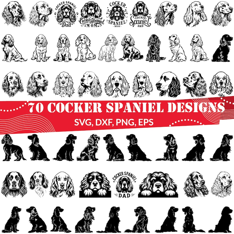 May include: 70 black and white vector illustrations of Cocker Spaniel dogs in various poses, including headshots, full body, and sitting. The designs are perfect for crafting projects, logos, and more. The text "70 Cocker Spaniel Designs" and "SVG, DXF, PNG, EPS" is included in the image.