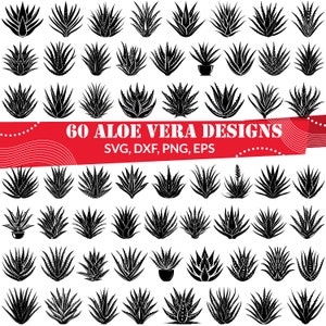 Aloe Vera SVG Bundle | 60 Botanical Aloe Plant Clipart and Silhouette Designs | HerbalFiles for Cricut, Wellness Crafts and Packaging