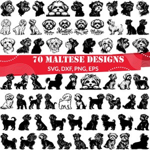 Maltese SVG Bundle, Maltese dxf, Maltese png, Maltese vector, Maltese outline, Maltese clipart, Maltese dog svg, Maltese Face svg