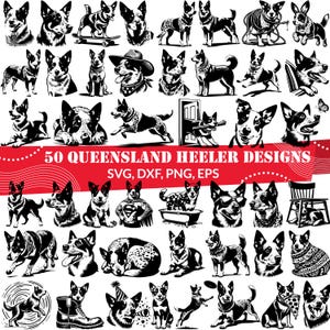 50 Queensland Heeler SVG Bundle / Australian Cattle Dog Clipart / Heeler Silhouette / Cane SVG per progetti Cricut e Sublimazione