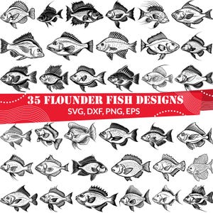 Botvis SVG | Clipart platvis | Ontwerpen voor zeedieren