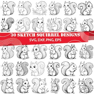 Op de afbeelding: Een set van 30 zwart-witte lijntekeningen van eekhoorns in verschillende poses. De illustraties zijn perfect voor knutselen, scrapbooking en andere creatieve projecten. SVG, DXF, PNG, EPS.