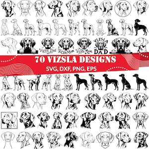 Bundle SVG Vizsla, chien de chasse svg, dxf Vizsla, png Vizsla, vecteur Vizsla, contour Vizsla, clipart Vizsla, svg hongrois Vizsla