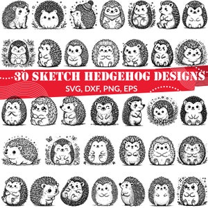 Croquis hérisson SVG Bundle, svg hérisson floral, dessin au trait hérisson, svg animaux en bois, contour hérisson, hérisson imprimable, svg hérisson drôle