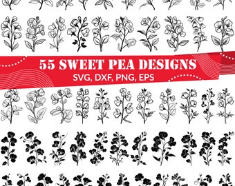 55 Sweet Pea SVG Bundle, Floral Line Art Clipart, Botanical Flower, Sweetpea Silhouette, Garden Vector