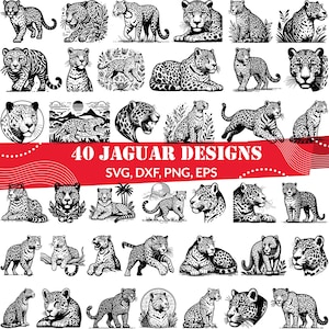 May include: A set of 40 black and white jaguar designs. The designs feature jaguars in various poses, including walking, running, sitting, and sleeping. The designs are perfect for use in crafting projects, such as t-shirts, mugs, and stickers.