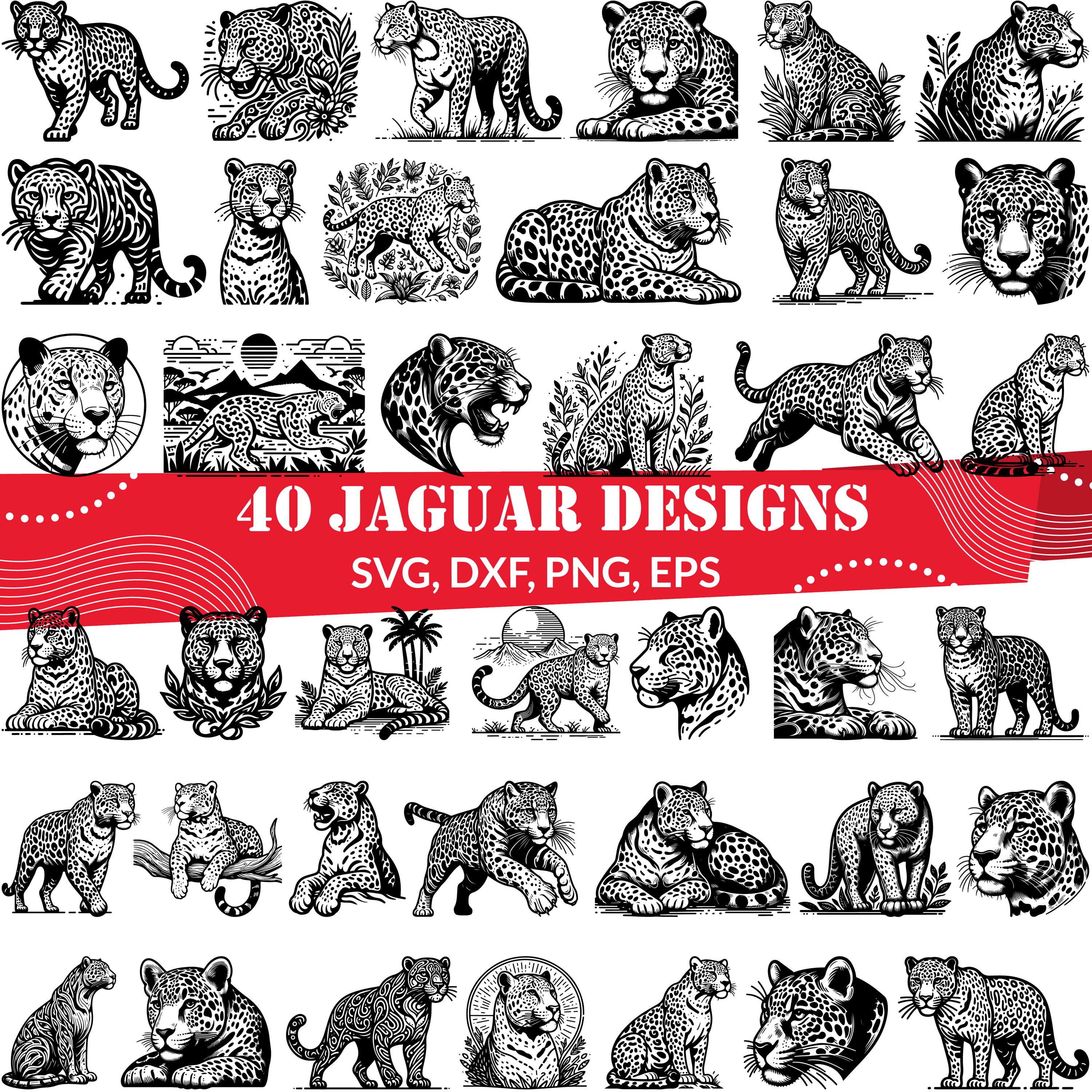 Paisaje Jaguar – Conservar las poblaciones de jaguares que quedan en  Ecuador., image size:3000x3000