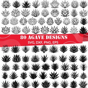 Agave Svg - Etsy