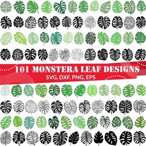 Monstera Leaf SVG Bundle, Tropical Leaves svg, Tropical leaf svg,Jungle Leaves svg,Monstera Leaf dxf,Monstera Leaf png,Monstera Leaf eps