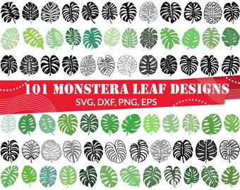 Monstera Leaf SVG bundel, tropische bladeren SVG, tropisch blad SVG, jungle bladeren SVG, Monstera Leaf DXF, Monstera Leaf PNG, Monstera Leaf EPS