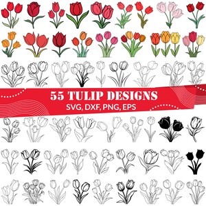 Tulip SVG Bundle, Tulip dxf, Tulip png, Tulip vector, Tulip outline, Tulip decal, Tulips svg, Bouquet Tulip svg, Spring Flower svg