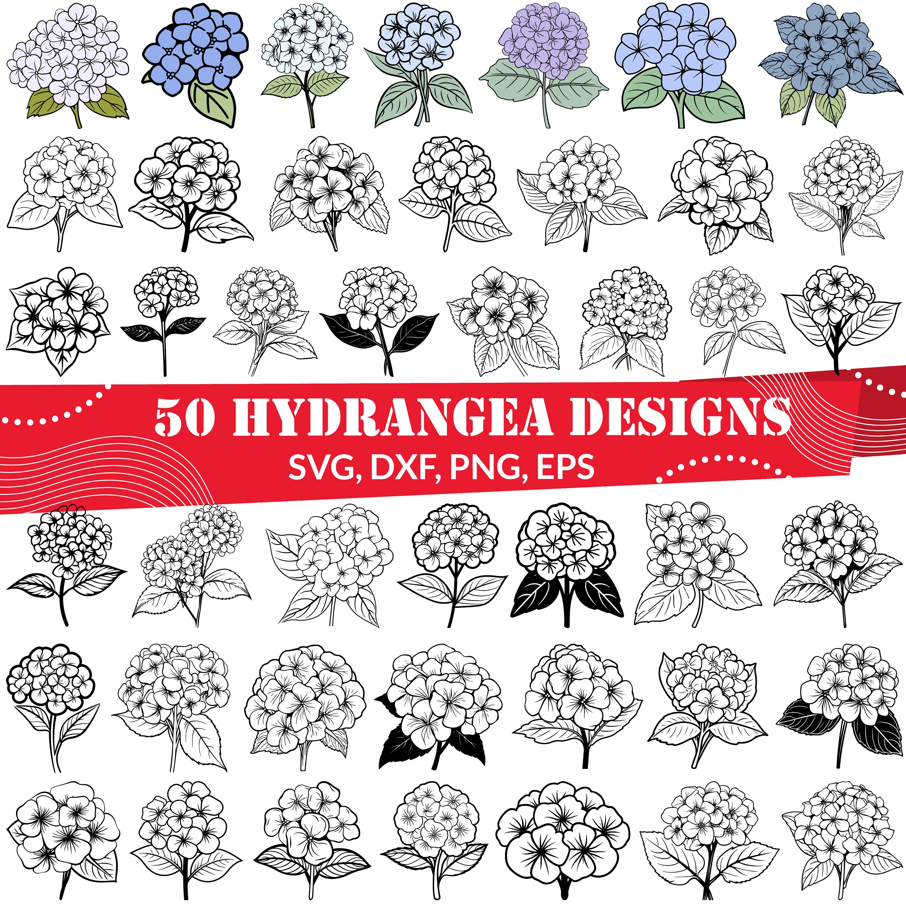 Hydrangea SVG Bundle, Hydrangea Line Art, Hydrangea Dxf, Hydrangea Png ...