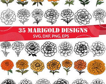 Marigold SVG Bundle, Marigold Flower svg, Marigold dxf, Marigold png, Marigold eps, Marigold vector, Marigold cut files, Marigold outline