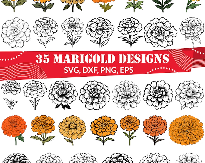 Hydrangea SVG Bundle, Hydrangea Line Art, Hydrangea Dxf, Hydrangea Png ...